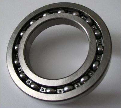 bearing 6309 2RS C4 Free Sample